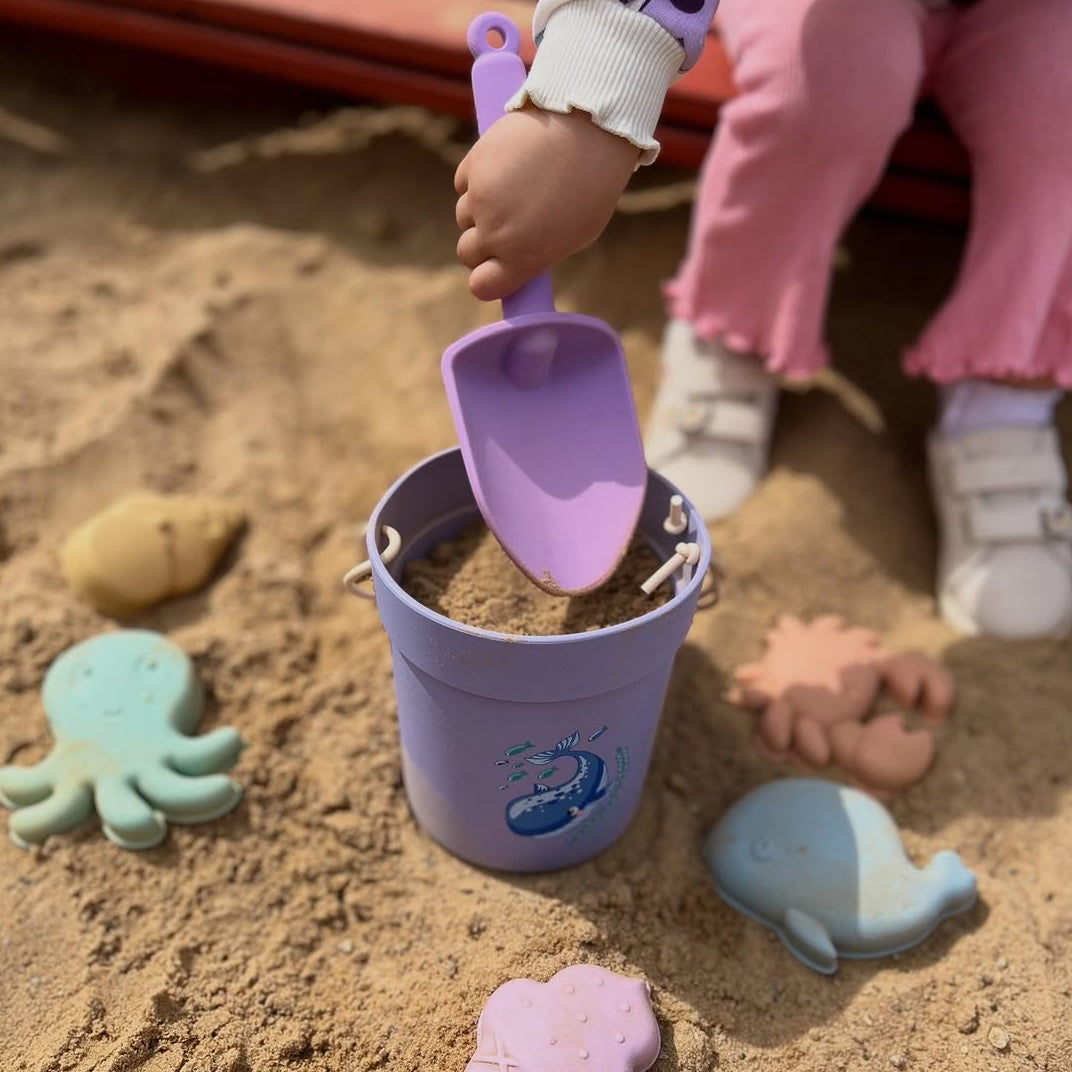 Silicone Beach Toy Set (Whale)