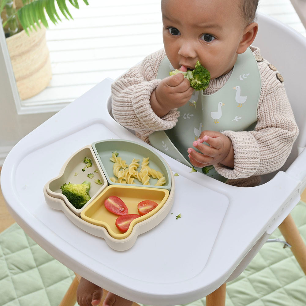 silicone-divider-plates-2 