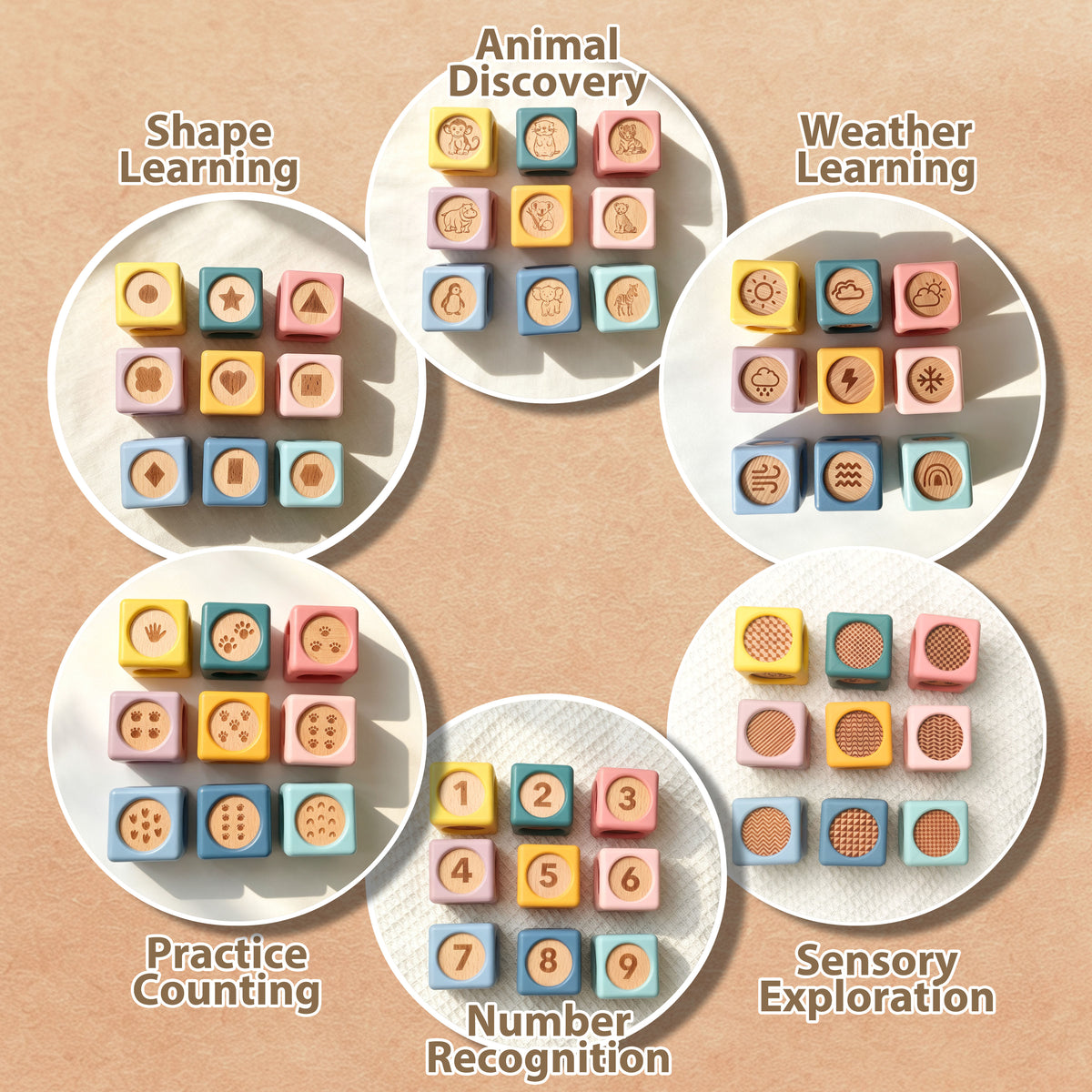 Five educational toy sets arranged on white plates against a warm beige background, labeled Shape Learning, Animal Discovery, Weather Learning, Practice Counting, Number Recognition, and Sensory Exploration.